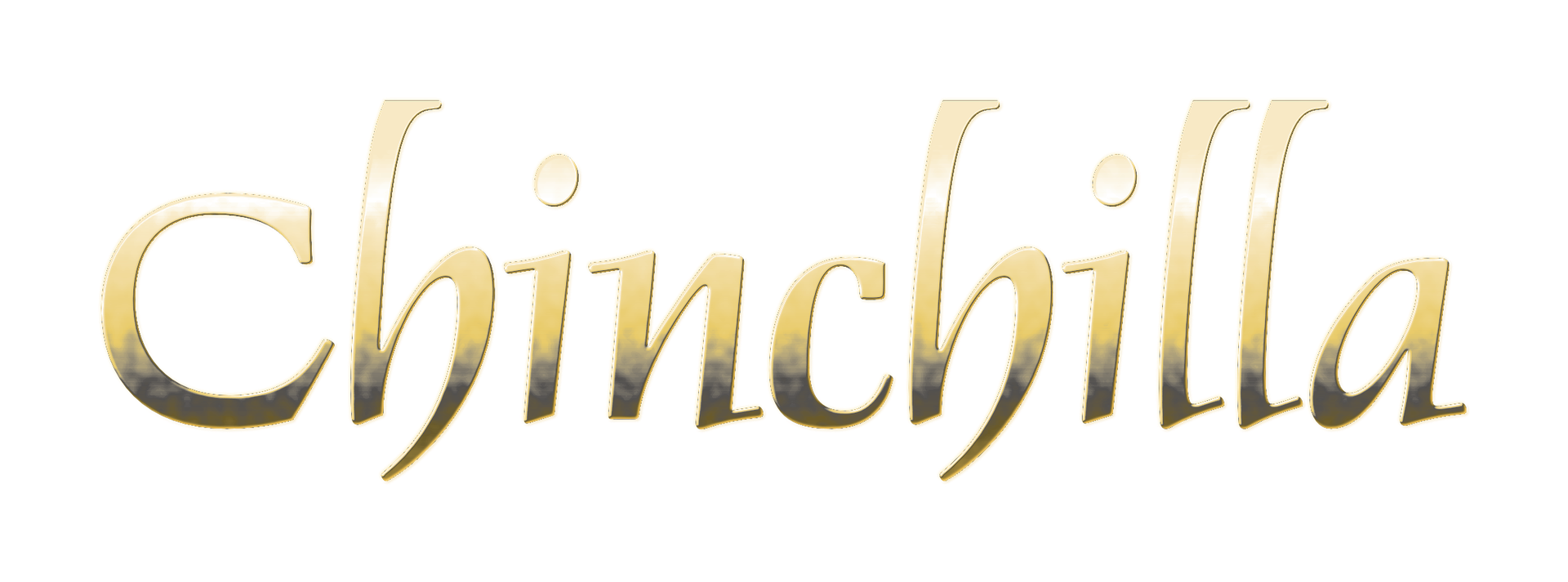 Official CHINCHILLA Band Website